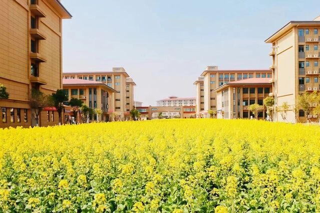 九江庐山技工学校新闻信息整理